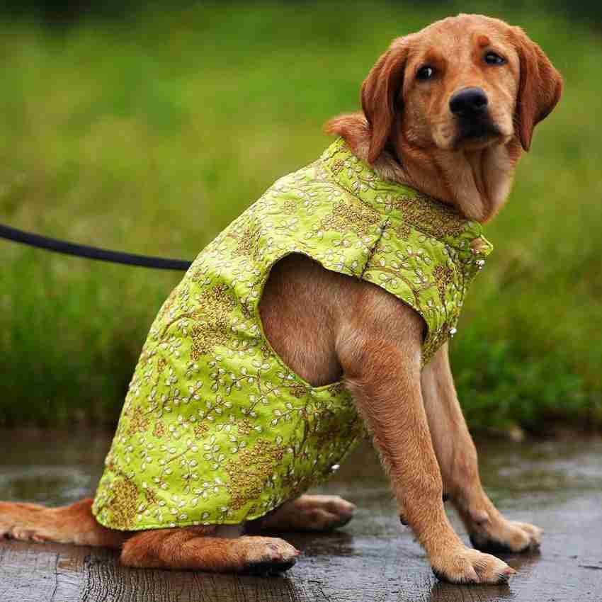Dog dress flipkart store