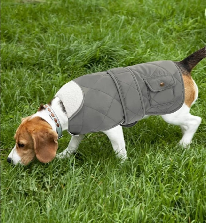 Dog jacket hot sale lowest price