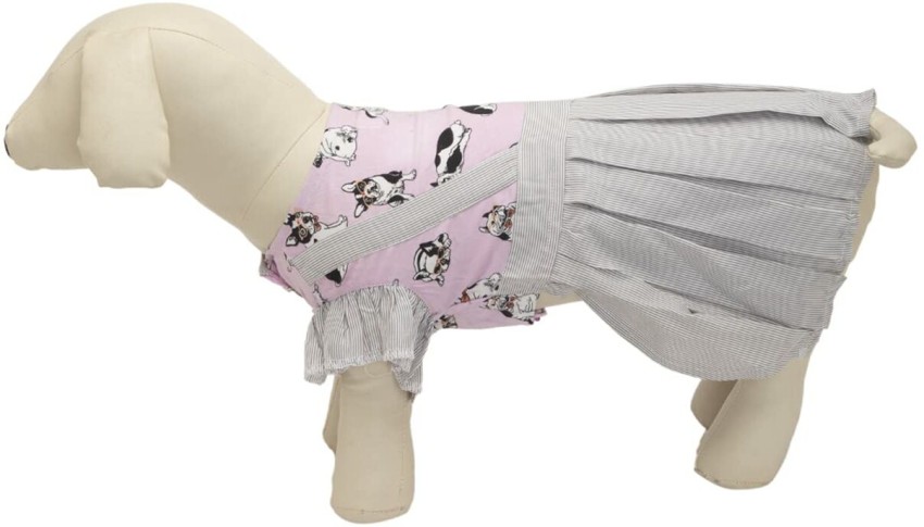 Dog clearance dress flipkart