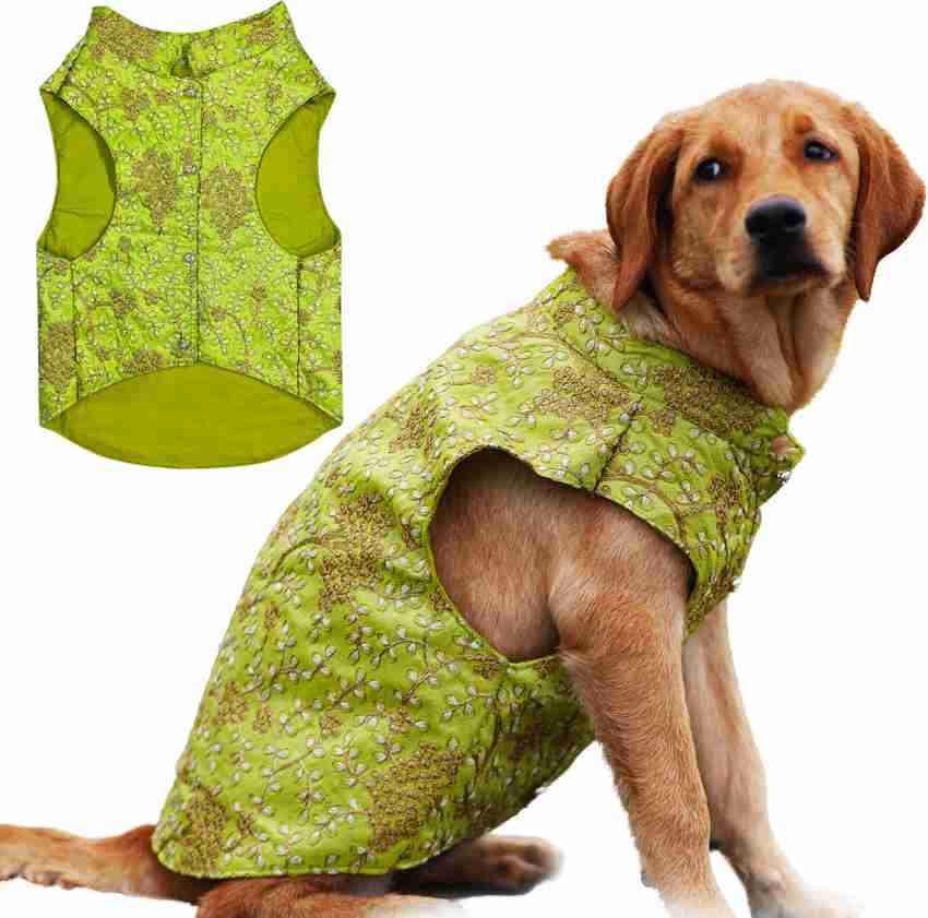Dog dress flipkart hot sale