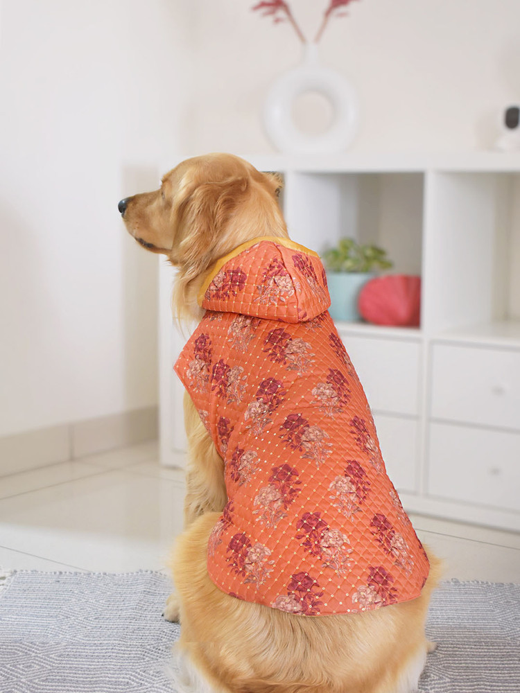 Rose gold dog dress on sale