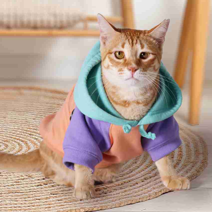 Cat hoodie for cat sale