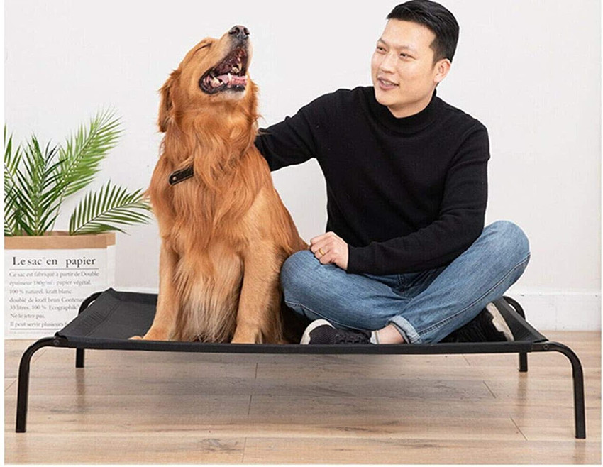 Double cot 2024 dog