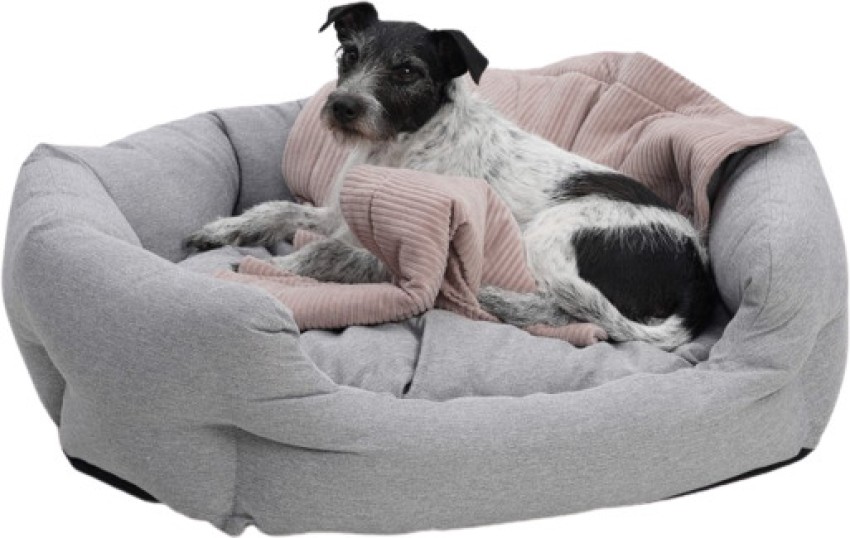 Buy cutepups A109 XL Pet Bed online at Flipkart