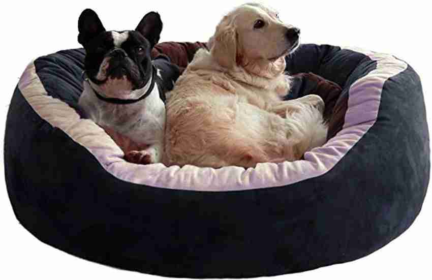 Dog bed flipkart cheap