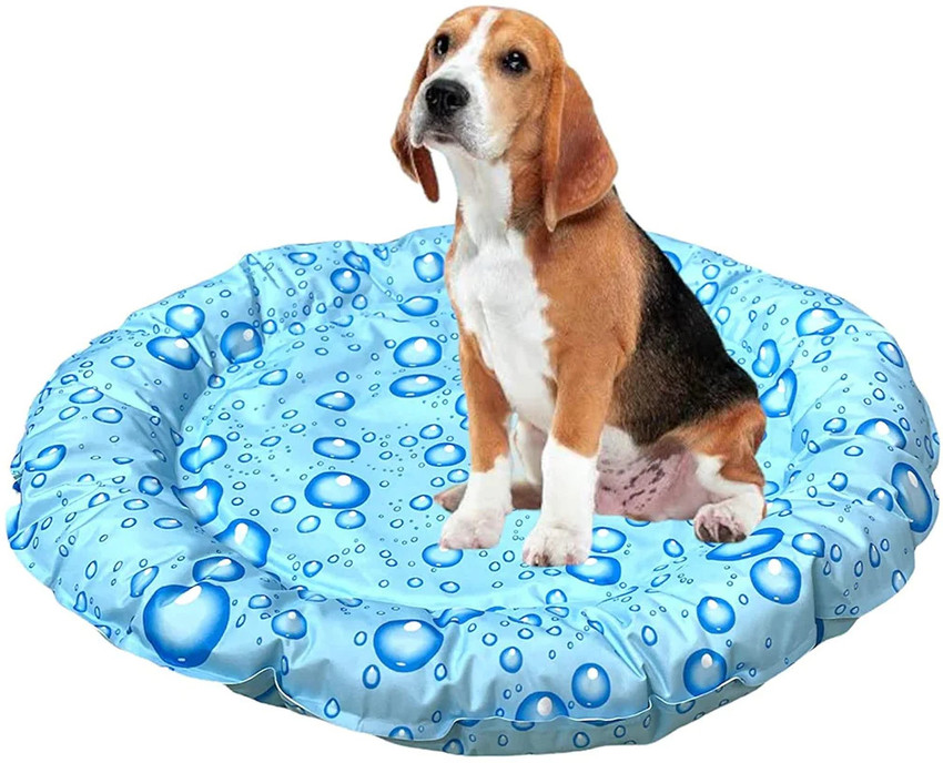 Dog water bed clearance