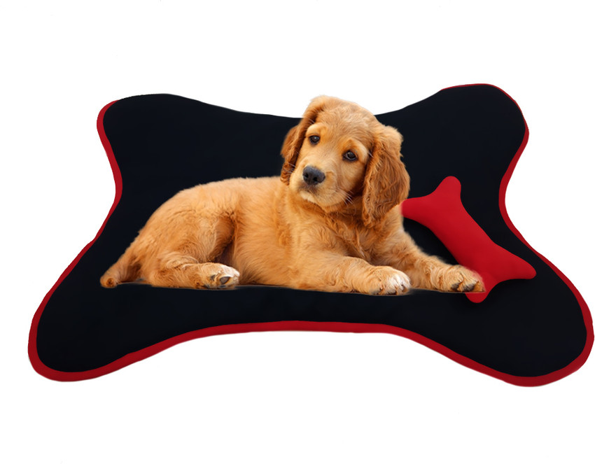 Dog bed wish 2025