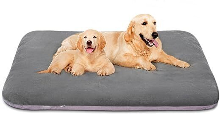 BLESSING PET PRODUCT MAGIC DOG BED XL Pet Bed Price in India Buy BLESSING PET PRODUCT MAGIC DOG BED XL Pet Bed online at Flipkart