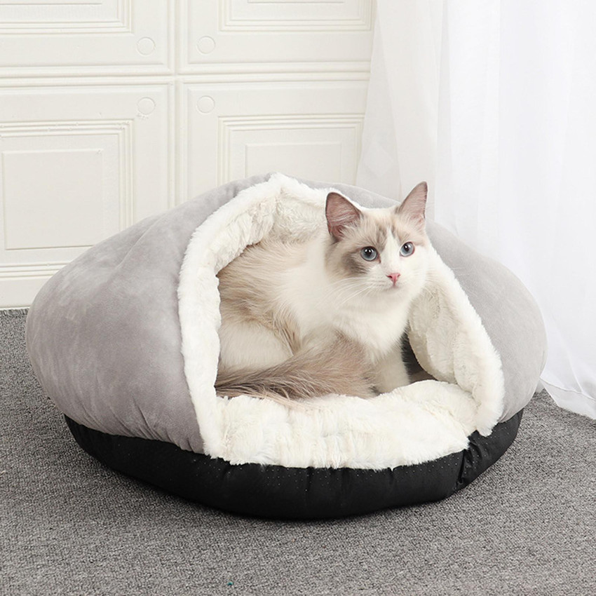 Cat sleeping on sale on dog bed