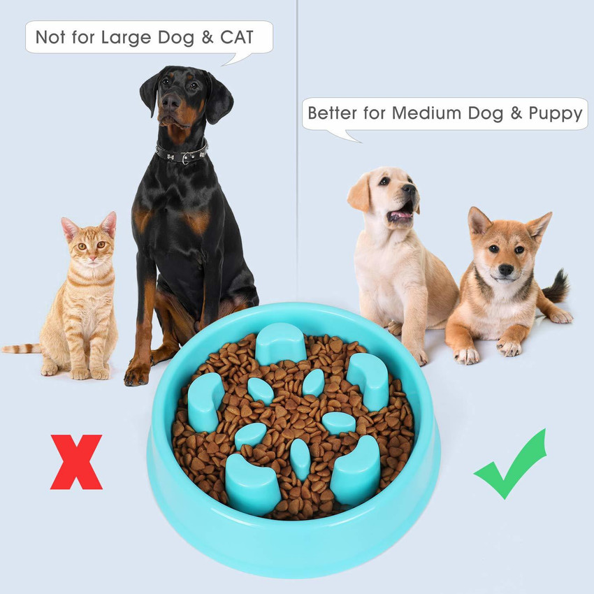 Bowl to stop dog cheap eating fast