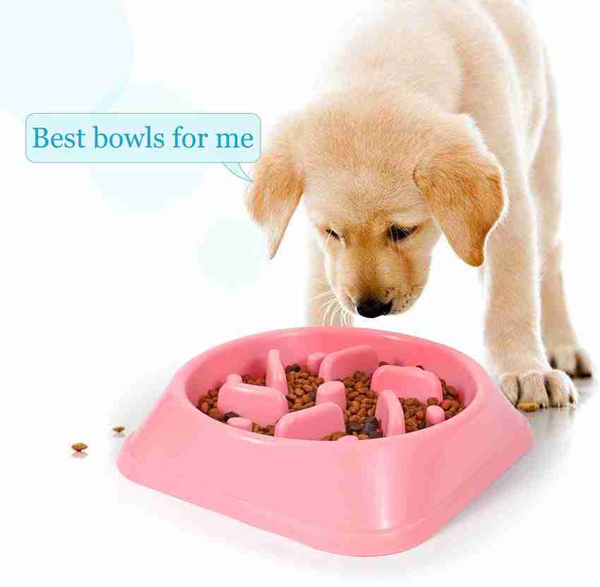 Sip Slow Feeder Dog Bowl Stop Bloat Dog Bowl for Fast Easters Slow Eating Dog Bowl Polypropylene Pet Bowl Price in India Buy Sip Slow Feeder Dog Bowl Stop Bloat Dog Bowl for Fast Easters Slow Eating D...