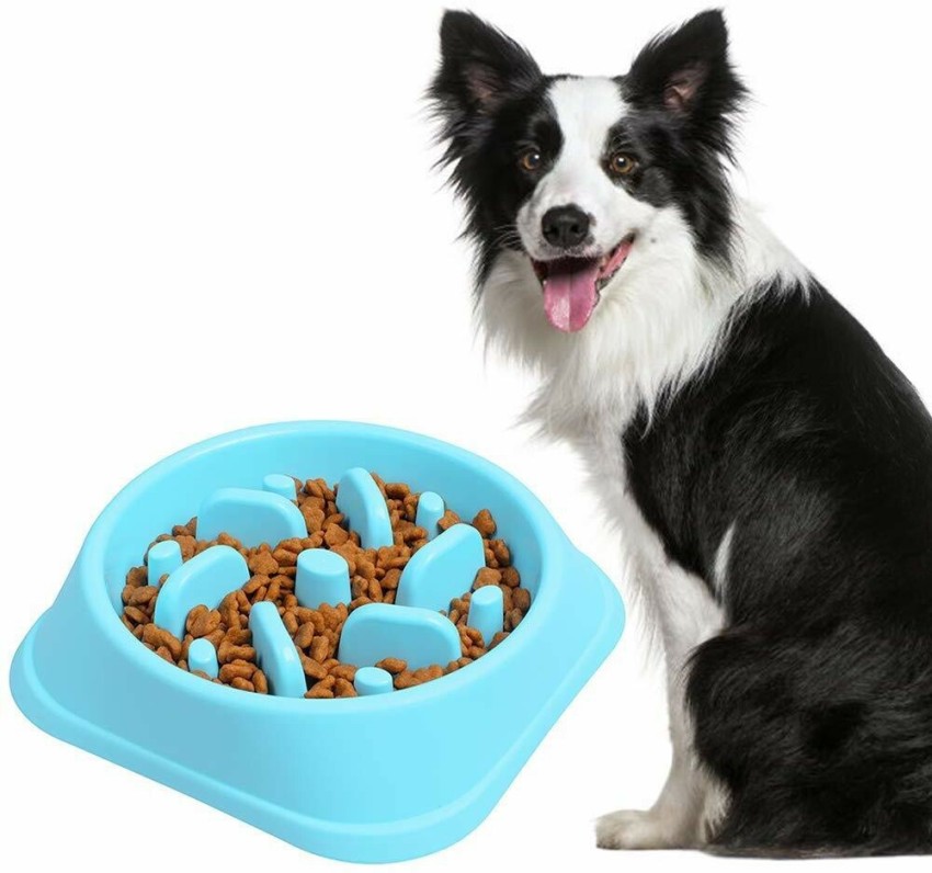 Buy Pets Empire Pet Round Bowl Easy Cleaning Pet Bowl For Dog And Cat  ,Small Online at Best Prices in India - JioMart.