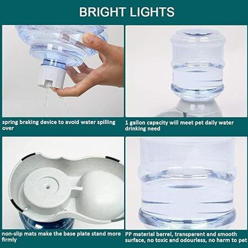 Glass water dispenser for store dogs