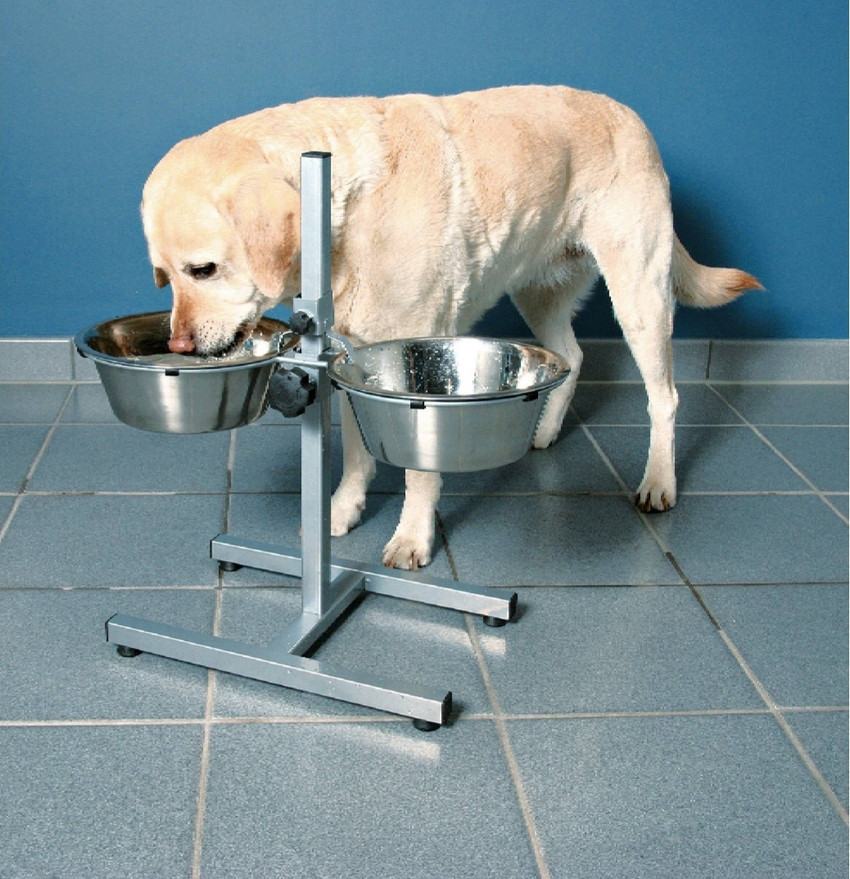 Dog food store stand flipkart