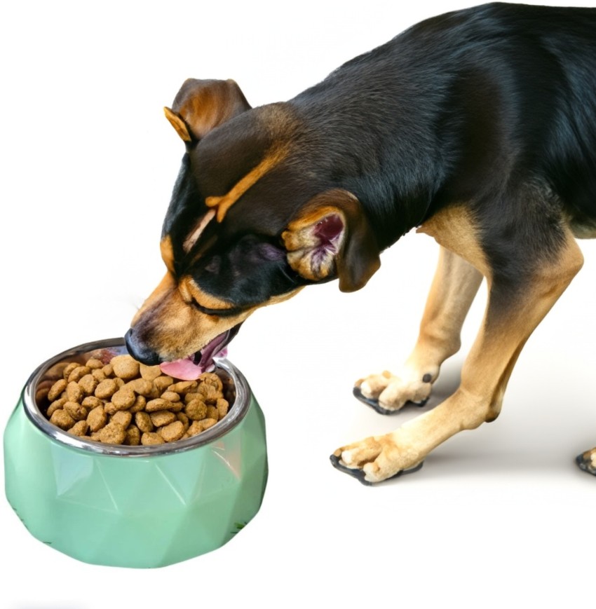 Dog food best sale stand flipkart