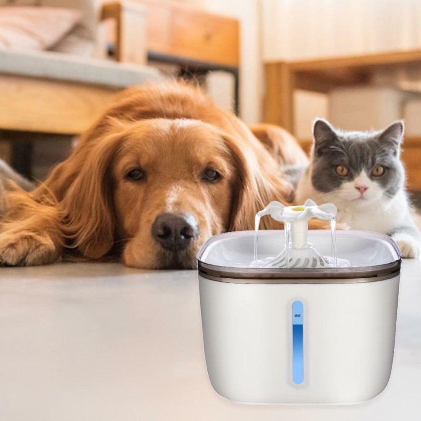 Electric pet outlet water bowl