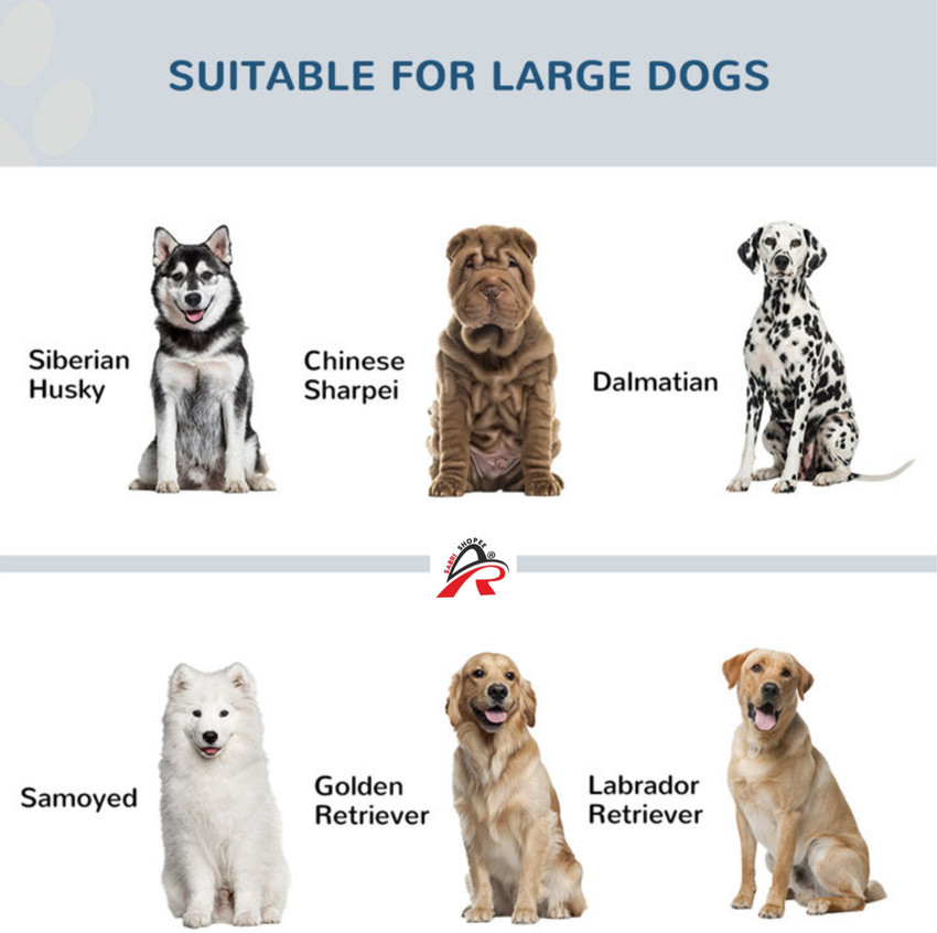 Dog food sales stand flipkart
