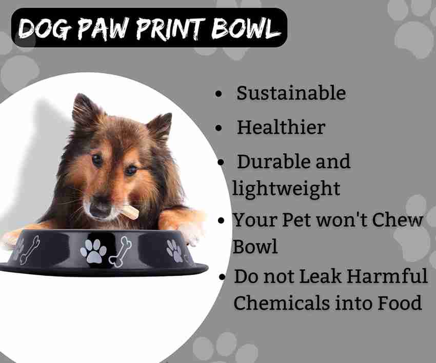 FOURESTA Large Dog Bowl 700 ml Combo Pack of 2 Feeding Bowls for Dog Non-Skid  Dog Bowl Stainless Steel Pet Bowl Price in India - Buy FOURESTA Large Dog  Bowl 700 ml