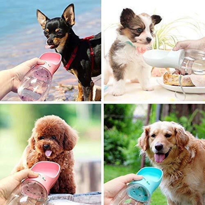 Pet Care Cup