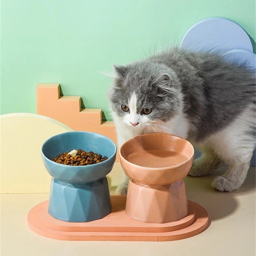 Ceramic water 2024 bowl for cats