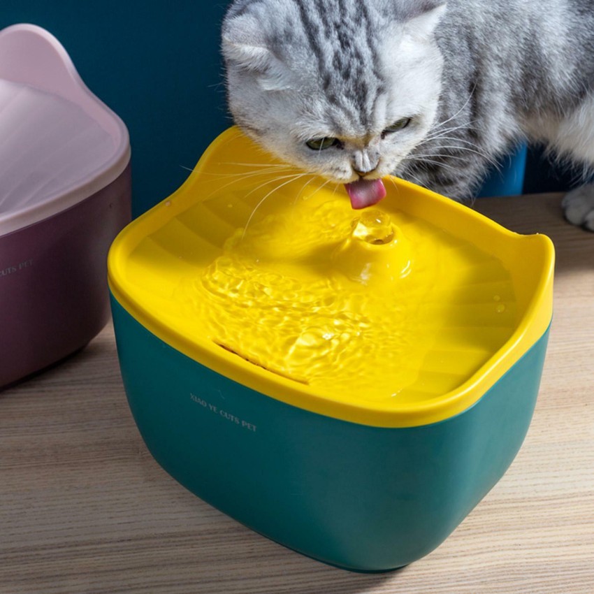 Electric best sale cat bowl