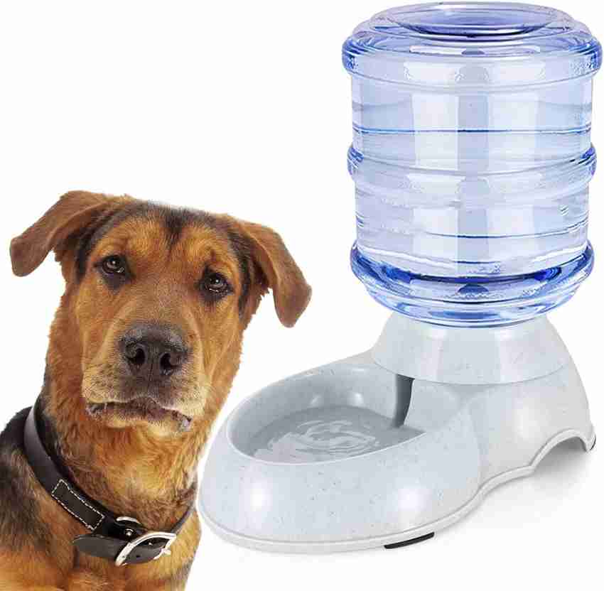 Animal sale water bowl