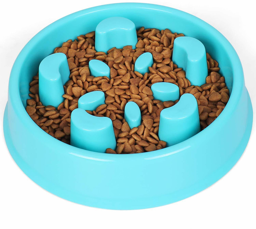 Pet bowl for outlet fast eaters