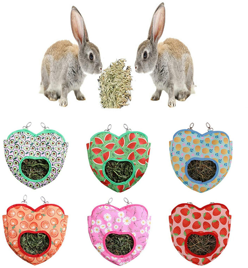 Guinea pig outlet hay feeder