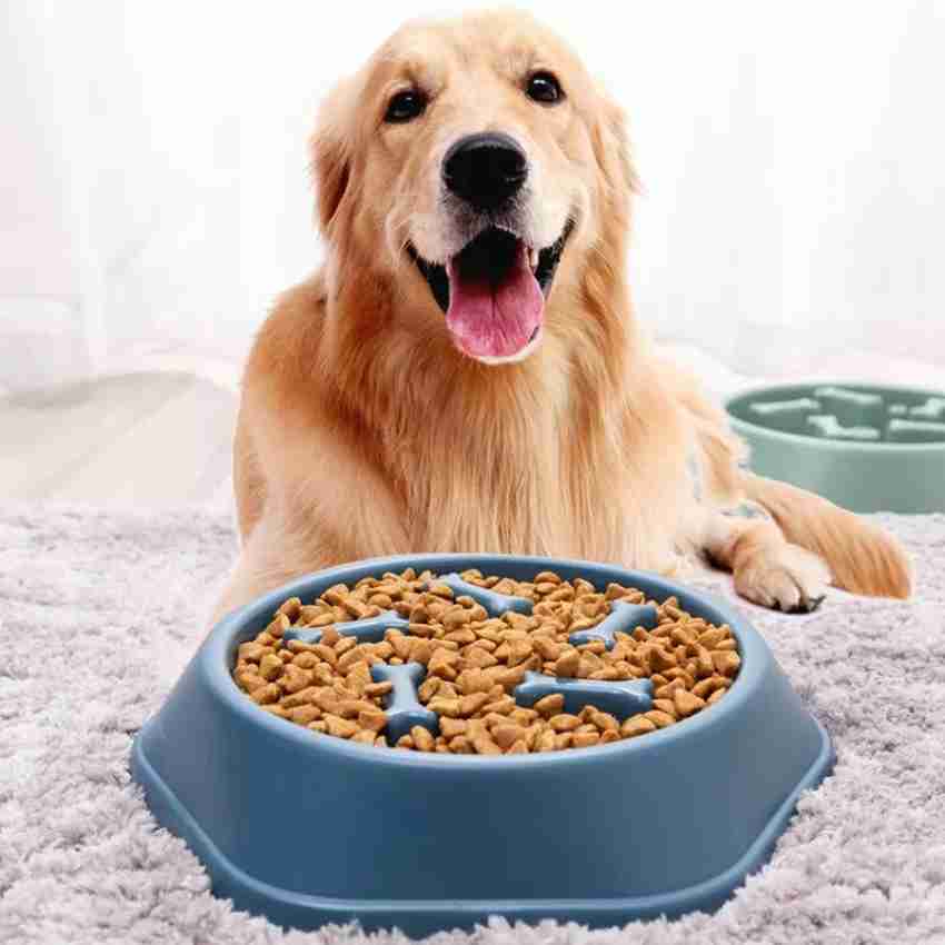 Shirlip Pet Slow Feeder Bowl Anti Gulping Food Plate Feeding Dog