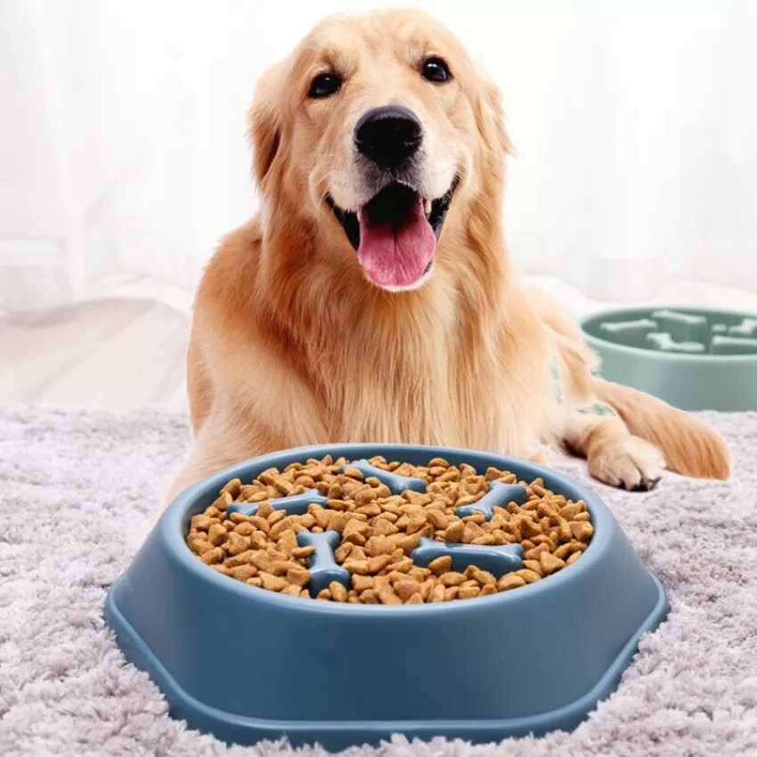 Cat and dog licking plate, slow feeding mat, slow feeding bowl, pet  supplies - Hepsiburada Global