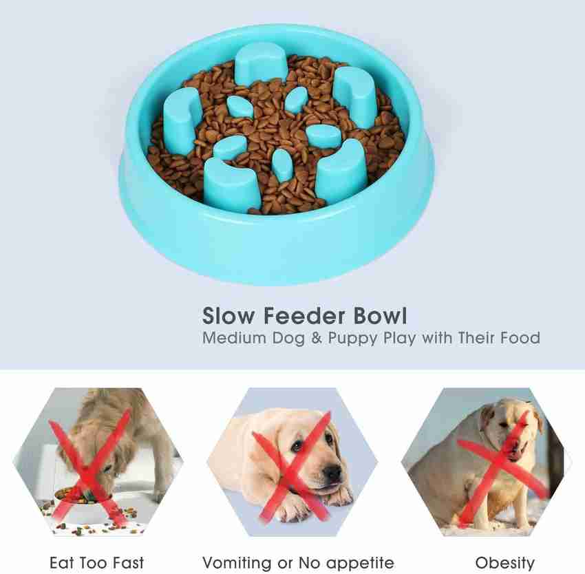 Bowl slow fast food outlet
