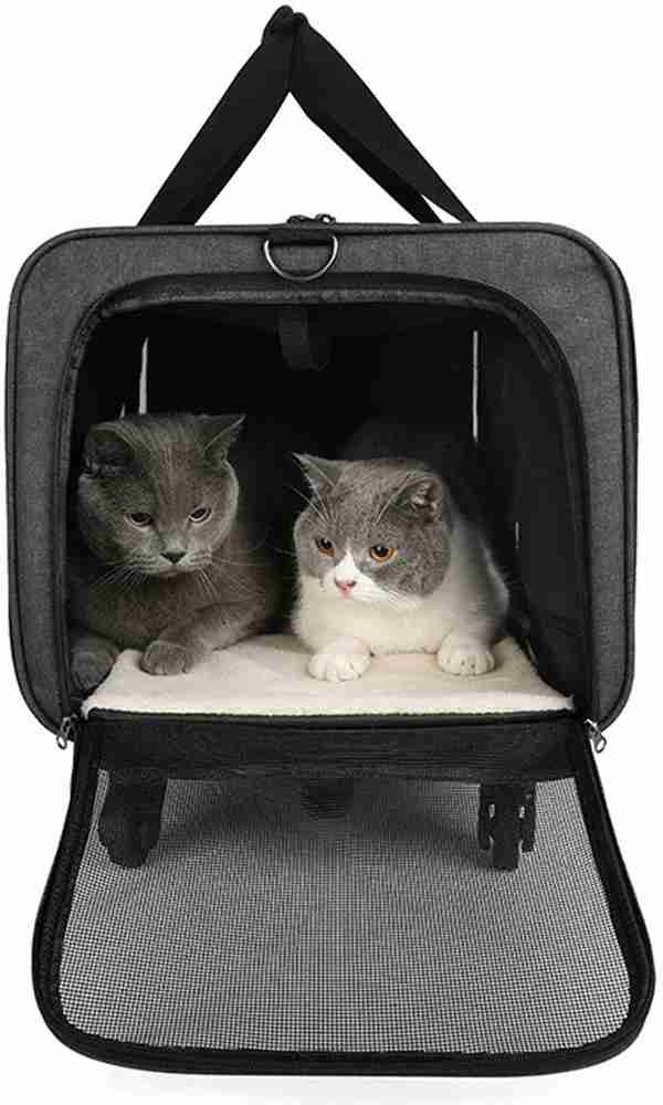 Cat travel case hot sale