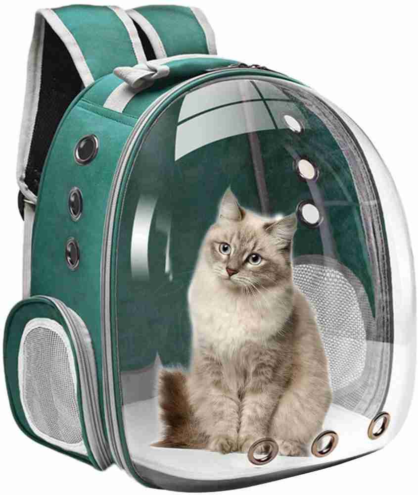 Pet backpack dome 2025