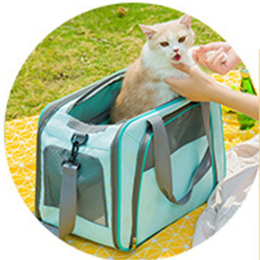 Transport box cat online