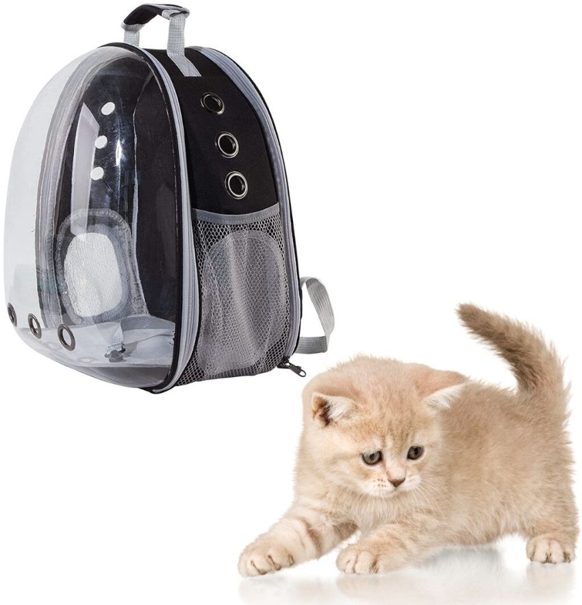 https://rukminim2.flixcart.com/image/850/1000/xif0q/pet-carrier/8/j/v/cat-backpack-carrier-bubble-carrying-ventilated-transparent-original-imagngjkh39znqeh.jpeg?q=90