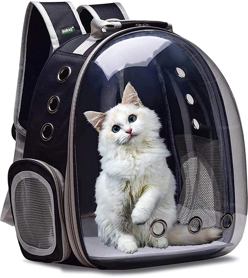 Transparent shop cat bag