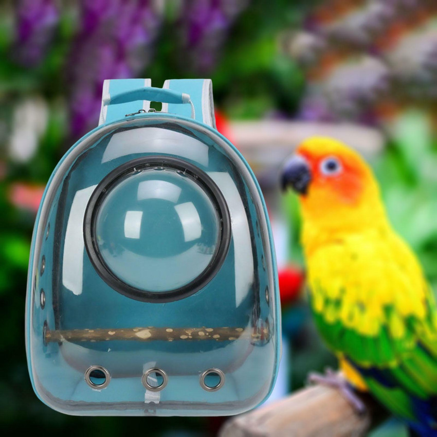 Conure carrier best sale