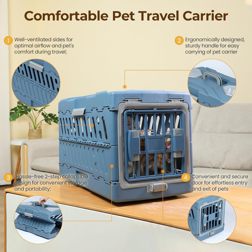 Pets at home carry case discount