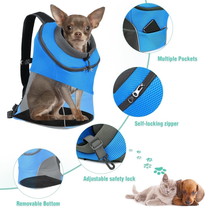 Chihuahua front outlet carrier