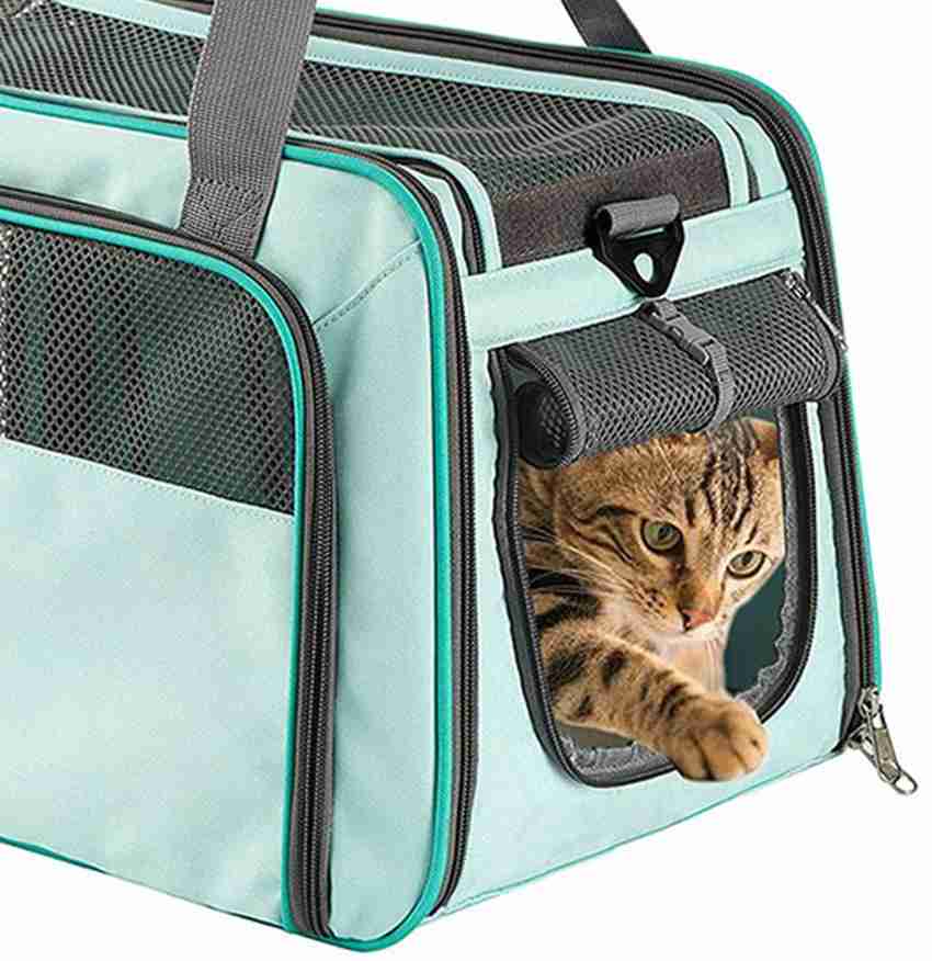 Cat 2025 transport box