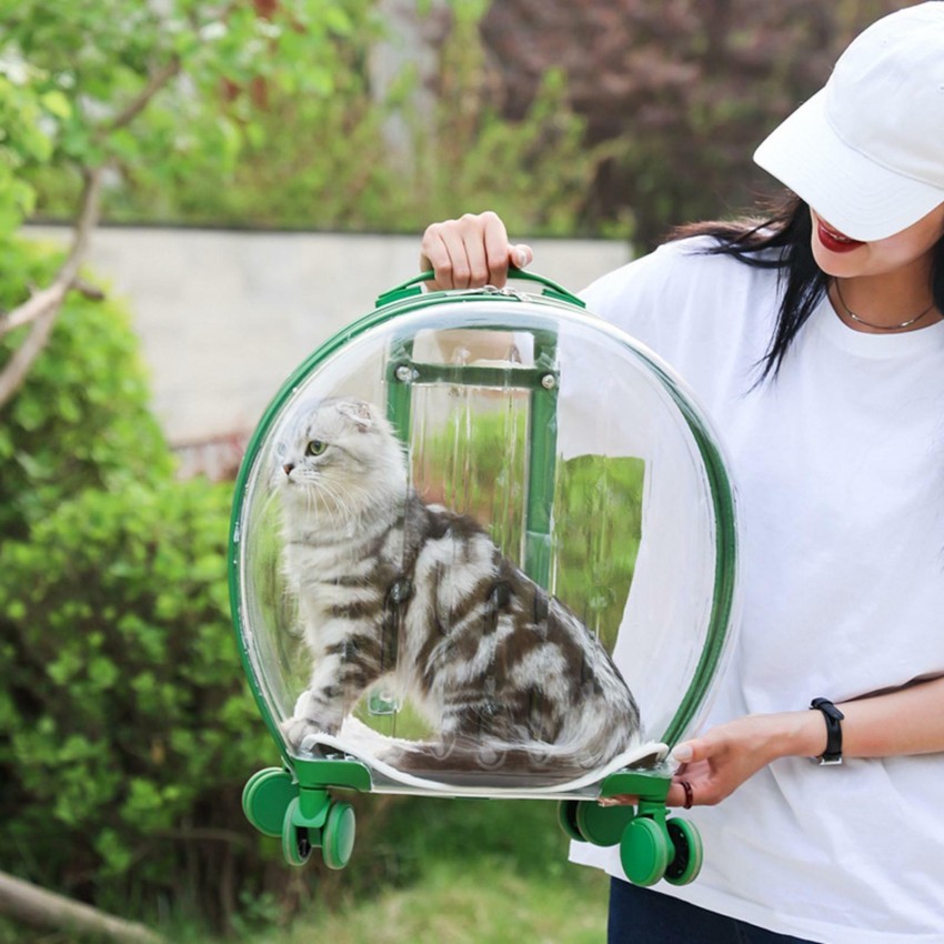 Baseball Cap for Cats and Dogs