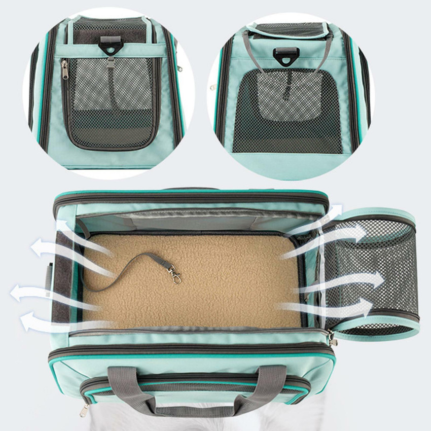 Share more than 163 dog carry bag online india super hot esthdonghoadian