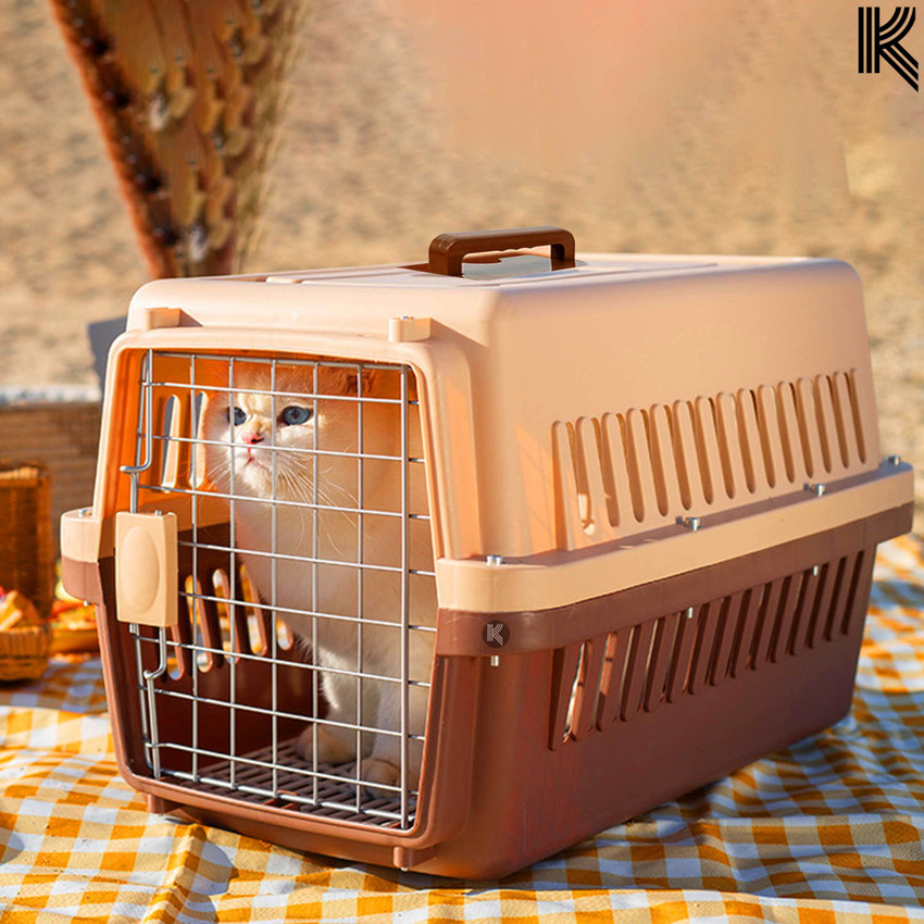 Cat boxes dog best sale