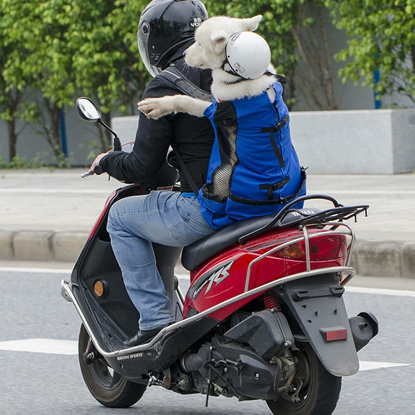 Scooter sales pet carrier