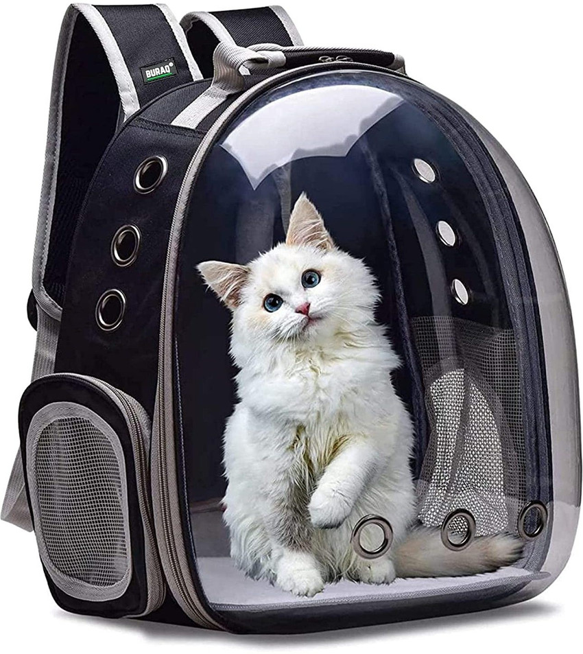 Transparent pet deals bag