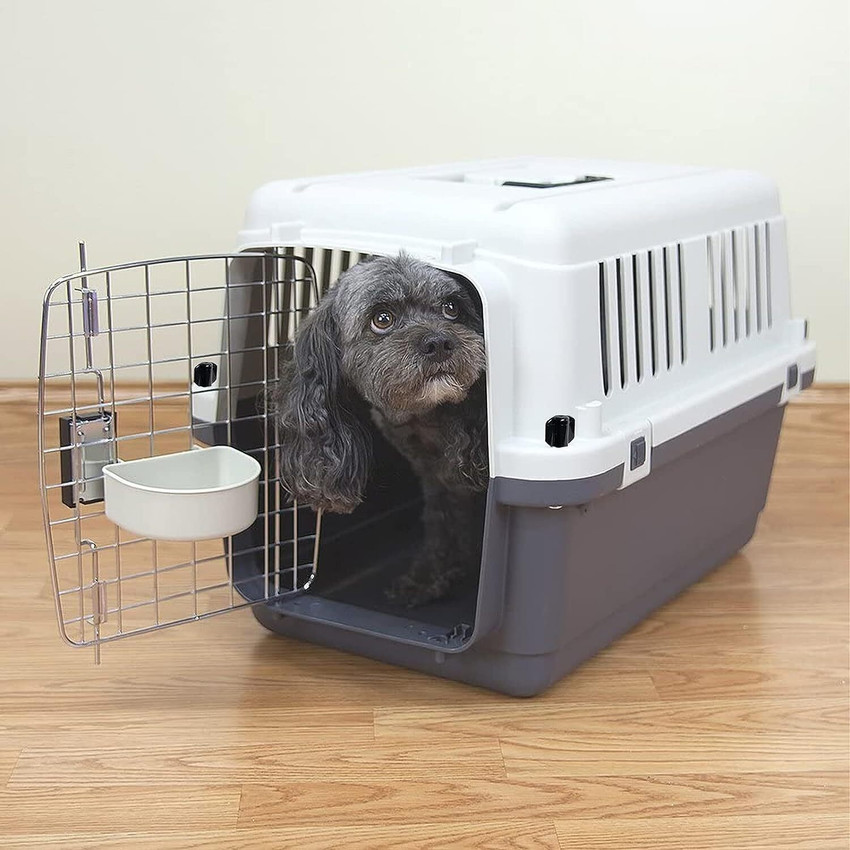 Emily Pets Heavy Duty Dog Travel Flight Crate Cage for Pet 21.5 Long 18 20 lb Grey Black Airline Pet Carrier Price in India Buy Emily Pets Heavy Duty Dog Travel