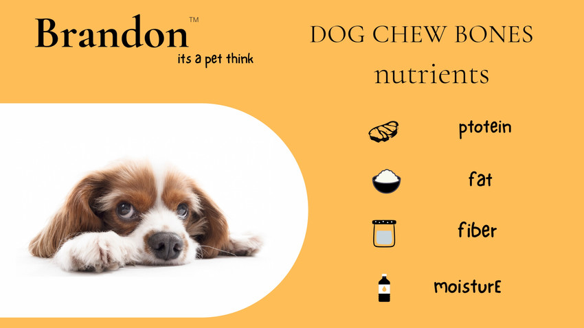 Brandon Store 2 Inch 250gm White Chew Bones For Dogs Around 9 13 Bones In there Packet Dog Chew Price in India Buy Brandon Store 2 Inch 250gm White Chew Bones For