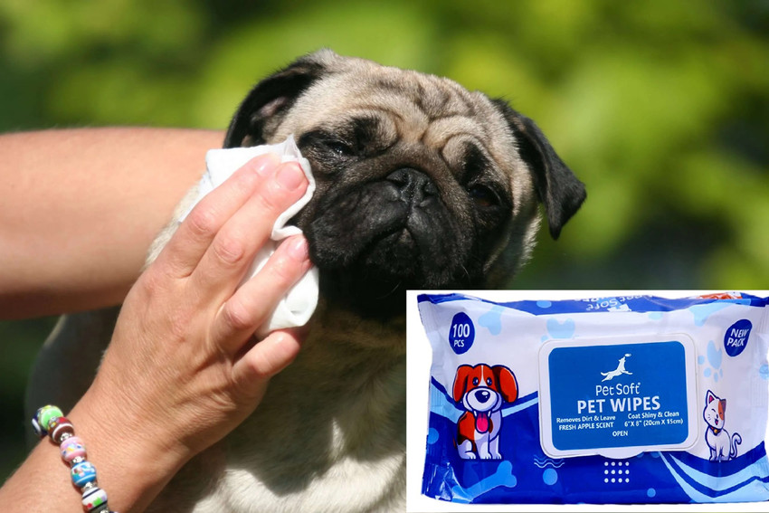 Furever Friends Dog Wipes for Dogs Ca All Purpose Cleaning Pet