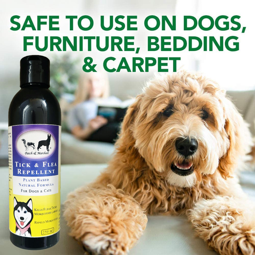 Patch and Marshall Best Anti Flea Tick Pure Oils Flea Treatment for Dogs Home Pets Plant Based 250 ml Pet Coat Cleanser Price in India Buy Patch and Marshall Best