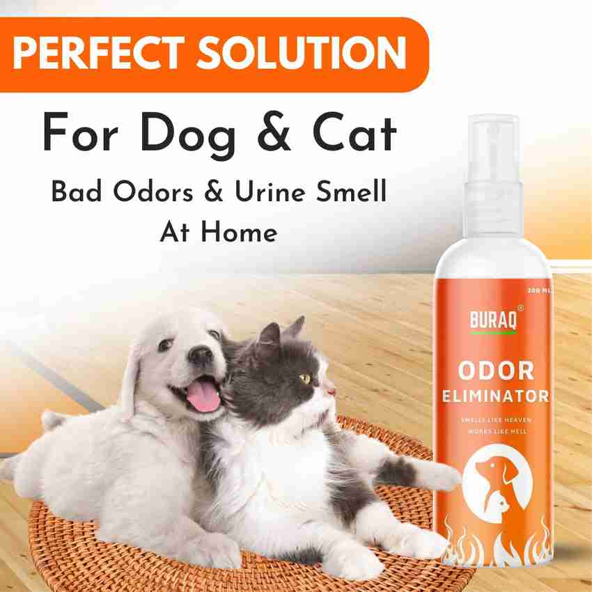 Buraq Odour Eliminator Spray Destroys Bacteria Oraganic Enzyme